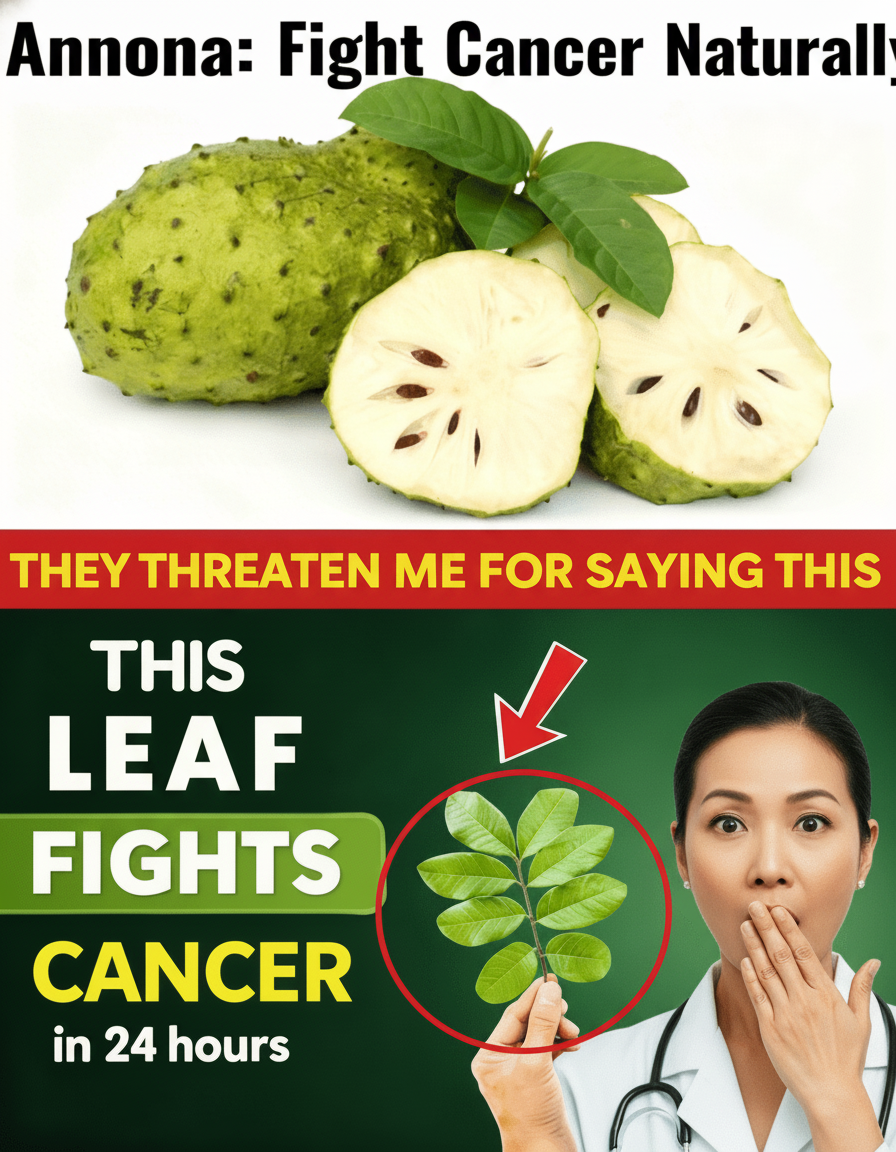 Ditch the Pills! This Power-Packed Leaf Is Your Secret Weapon for Explosive Energy, Gut Bliss, and Seriously Deep Chill.