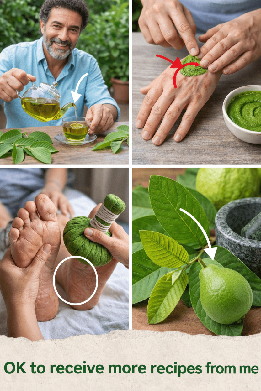 Guava Leaves: The Unsung Hero for Your Joints, Bones, and Kicking Leg Swelling to the Curb – Naturally!