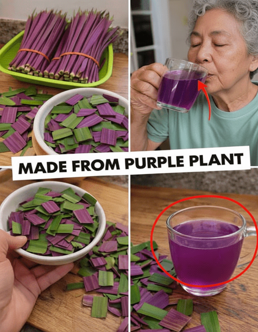 Forget the BS: Purple Heart Tea is Your New Secret Weapon Against Inflammation – Brew It Like a Boss at Home!
