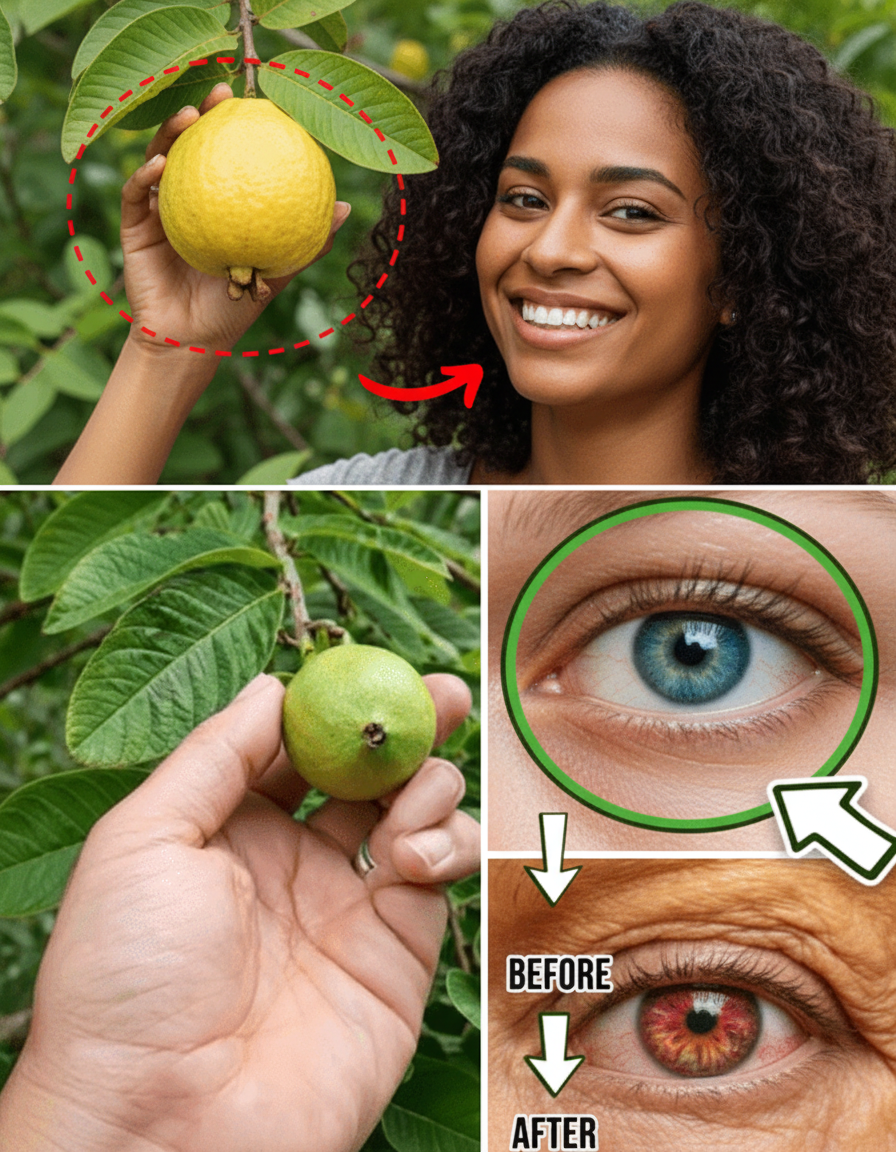 Eyes on Fire? Uncover Guava's Secret Power for Comfort – No More BS!