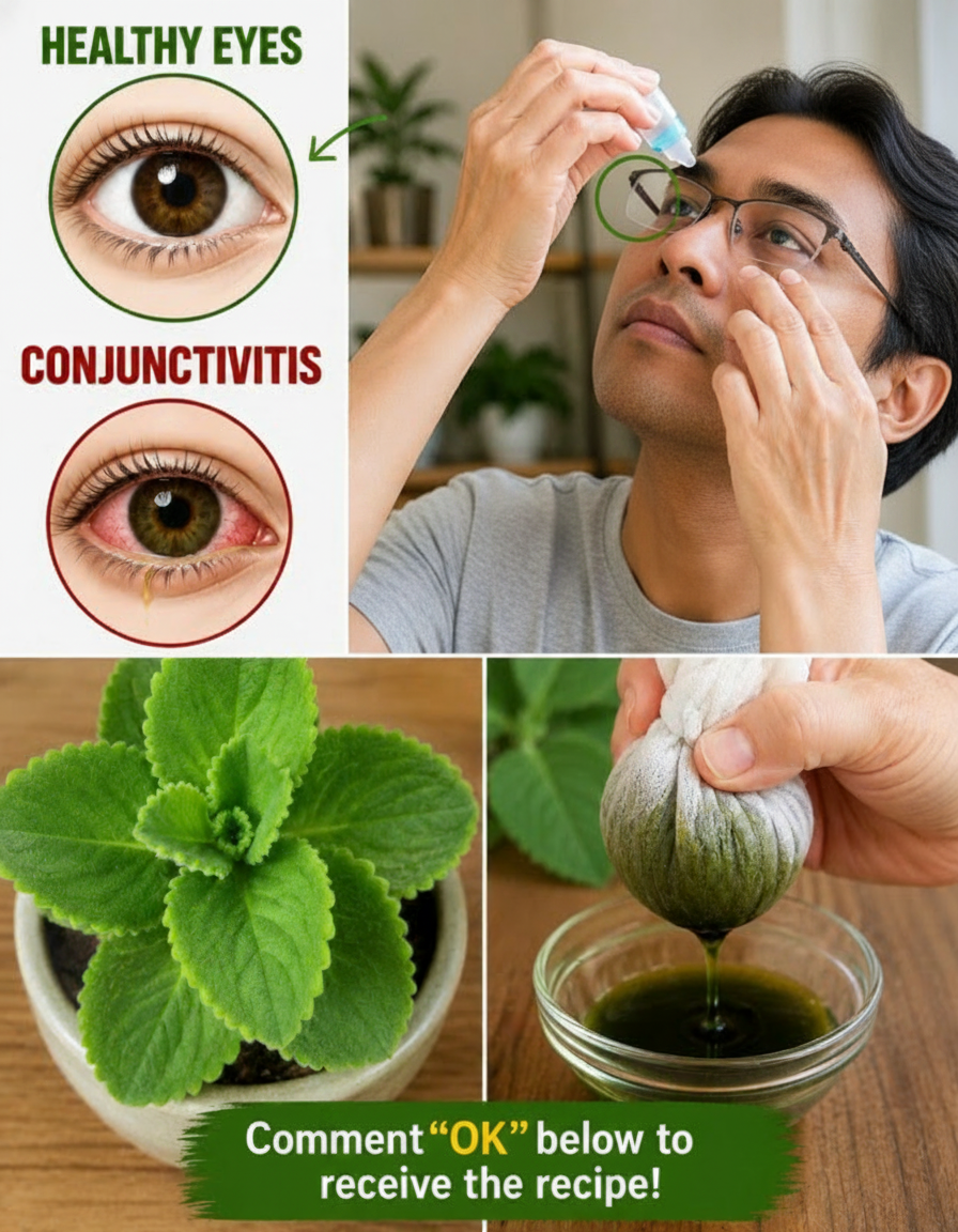Sick of Eye Discomfort? This Everyday Plant Is the *Real* Game-Changer You've Been Missing!
